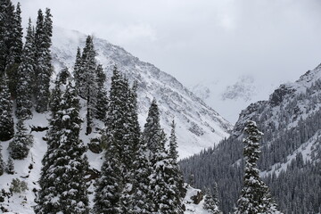 Zailiysky Alatau is a mountain range in the northwest of the Tien Shan