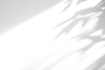 shadow overlay effects of realistic abstract natural tree leaves shadow on wall background,Summer sunlight and shadow overlay effect,shadow for photo interior backdrop studio mockup