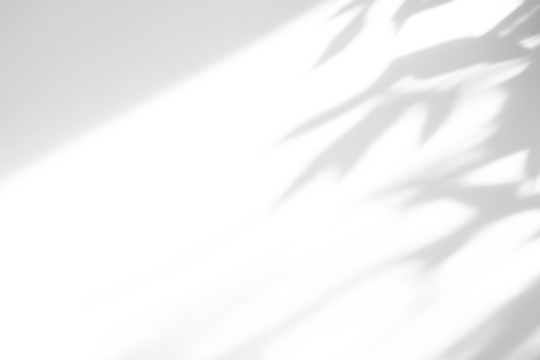 shadow overlay effects of realistic abstract natural tree leaves shadow on wall background,Summer sunlight and shadow overlay effect,shadow for photo interior backdrop studio mockup - Powered by Adobe