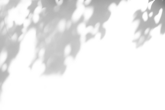 shadow overlay effects of realistic abstract natural tree leaves shadow on wall background,Summer sunlight and shadow overlay effect,shadow for photo interior backdrop studio mockup