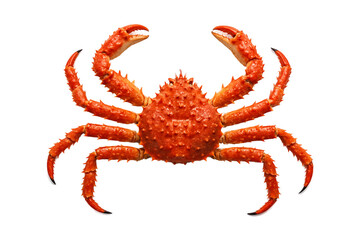 Alaskan king crab isolated on white background. Fresh seafood delicacy with sharp claws and vibrant red shell.