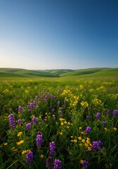 Obraz premium Rolling hills and wildflowers under clear blue sky
