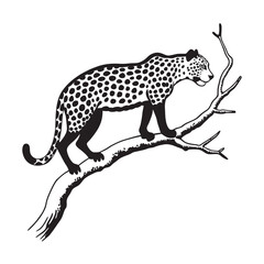 Leopard Climbing Toward Tree Branch Silhouette