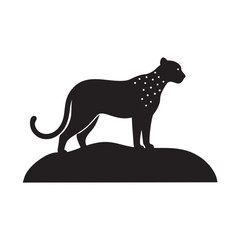 Cheetah Sitting On Rocky Scan Silhouette