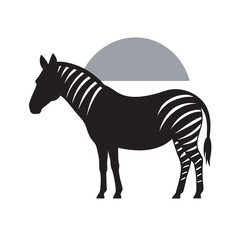Sunlight Illuminating Facing Zebra Silhouette