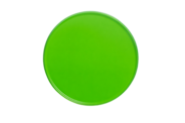 a green plate with a white background