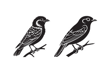 Two birds perched on branches silhouette
