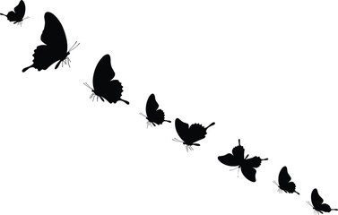 Butterfly silhouettes flying in pattern, black insect illustration, nature flight concept, butterfly vector art, graceful winged insect, natural movement, flying butterfly silhouettes artwork