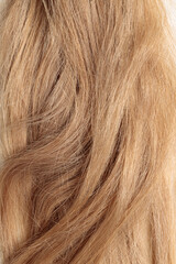 blond hair, long glossy straight hair, macro hair texture,  long dull tangled damaged hair with split ends