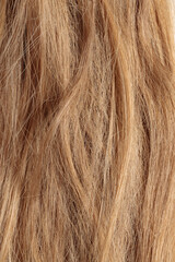 blond hair, long glossy straight hair, macro hair texture,  long dull tangled damaged hair with split ends