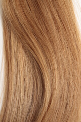 Fototapeta premium blond hair, long glossy straight hair, macro hair texture