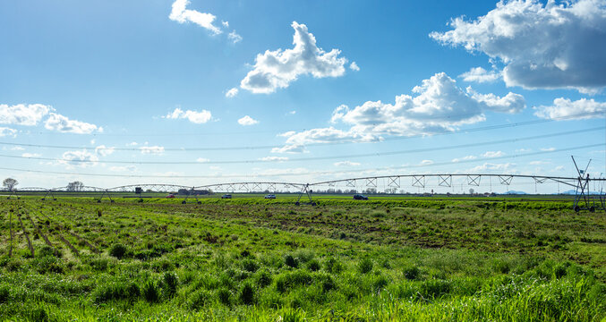 Expansive green agricultural field under a bright blue sky with fluffy clouds, featuring irrigation equipment in the distance, showcasing the beauty of rural farming landscapes