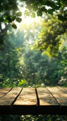 Wooden Table in Forest with Sunlight Shining Through Leaves