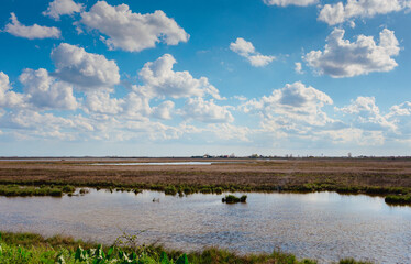 Expansive Lagoon near Chioggia, Veneto landscape under a bright blue sky filled with fluffy white clouds, showcasing serene water reflections and lush green vegetation along the shoreline