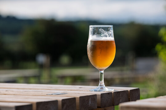 glass of cold lager in the sun