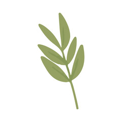 leaf illustration design