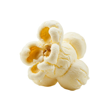 Single popcorn kernel popped, white backdrop