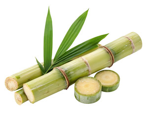 Fresh sugarcane stalks and leaves isolated on white background for natural and organic products