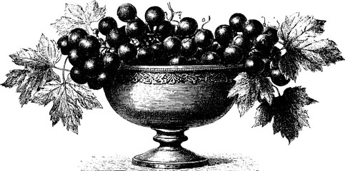 Vintage engraved illustration of grapes and leaves in an ornate bowl for retro design