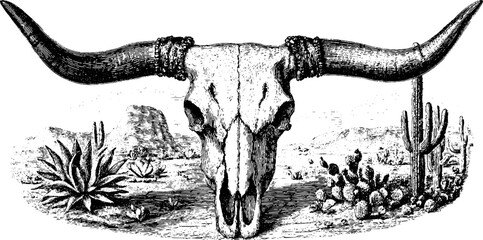 Engraved illustration of cow skull in desert setting for retro design and print