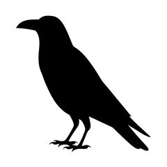 Obraz premium A stark black silhouette of a bird, possibly a crow or raven