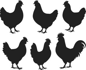 Silhouette set of chickens and rooster in various poses, ideal for farm design, agriculture illustrations, and rural lifestyle branding.