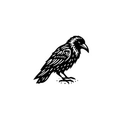 Obraz premium A black and white illustration of a crow, isolated on white background