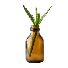 Fresh Aloe Vera Bottle with Leaves on White Background - Herbal Skincare Concept
