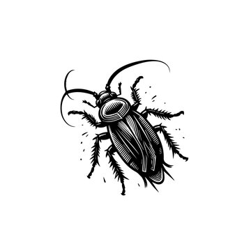 black cockroach insect detailed line art clip art preview
