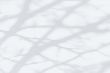 Obraz premium Soft natural shadows of leaves and branches falling on a white wall