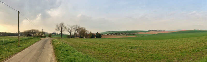 Panoramic view of serene countryside road and vibrant green fields
