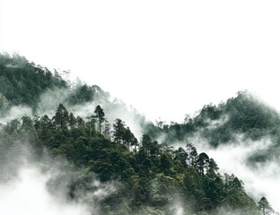 Fototapeta premium Misty mountain peaks, dense forest