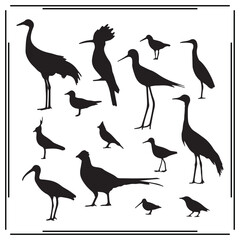 Obraz premium Set of 12 Bird Silhouettes: Crane, Heron, Flamingo, Wading Birds, Shorebirds, and Other Avian Designs for Wildlife, Nature, and Ornithology Illustration Projects