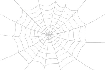 Intricate spiderweb spreading delicately against transparent surface, evoking haunting halloween mood