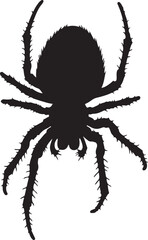 OrbWeaver in silhouette image white background.