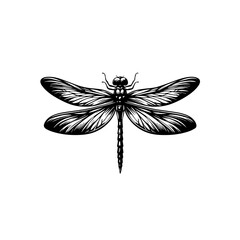 dragonfly silhouette vector