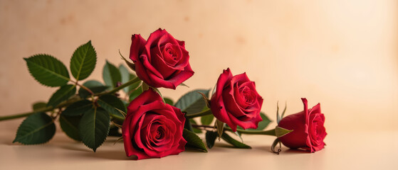Beautiful red roses arranged elegantly on soft background, symbolizing love and passion, perfect for any romantic occasion