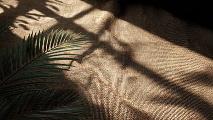 Sunlight casts shadows on a beige textured surface with tropical leaves