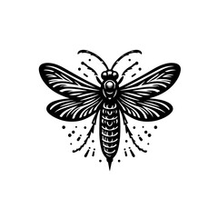 butterfly on a white background