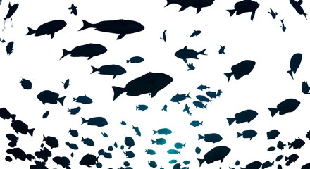 Abstract Background of Fish Silhouettes Underwater in Blue Water Photo