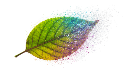 Abstract Colorful Leaf Illustration On Black Background Transparent Design