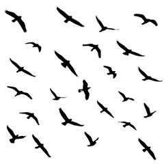 Abstract Black Background Illustration Art Seamless Pattern Design Texture