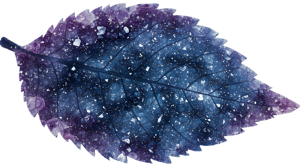 Abstract Galaxy Leaf Illustration On Transparent Background With Sparkles