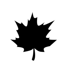 Maple leaf 