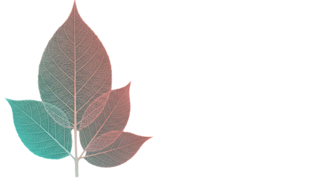 Abstract Leaf Illustration With Gradient Colors And Transparent Background