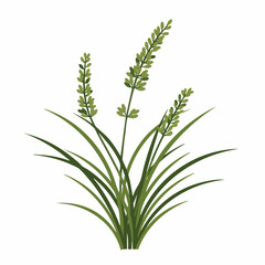 Naklejka premium Stylized Green Plant with Long Leaves and Spiked Flower Stalks