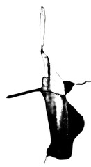 Abstract Silhouette Design In Black And White With Light And Shadow