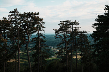 Tall pine trees framing a scenic view over villages and fields below Avala Mountain in Serbia.