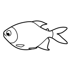 black and white freshwater fish coloring line art