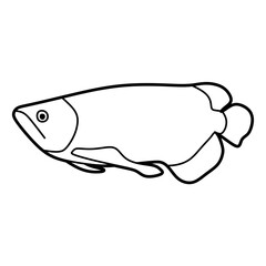 scleropages formosus fish black and white coloring line art vector